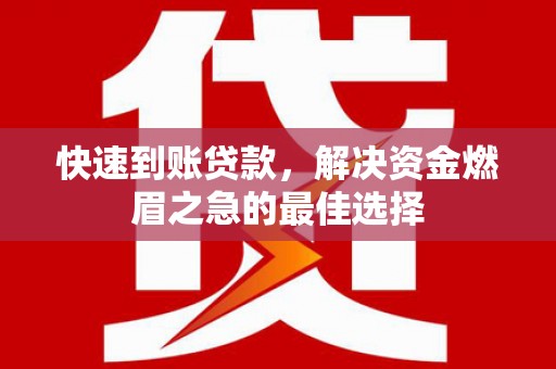 辛集快速到账贷款，解决资金燃眉之急的最佳选择