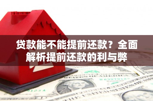 辛集贷款能不能提前还款？全面解析提前还款的利与弊