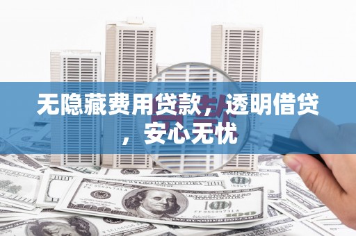 辛集无隐藏费用贷款，透明借贷，安心无忧