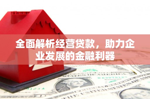 辛集全面解析经营贷款，助力企业发展的金融利器
