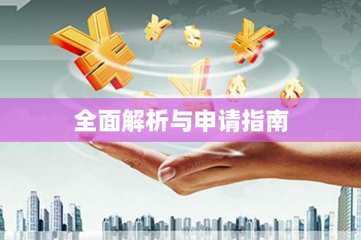 辛集全面解析与申请指南