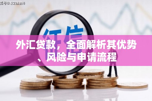 辛集外汇贷款，全面解析其优势、风险与申请流程