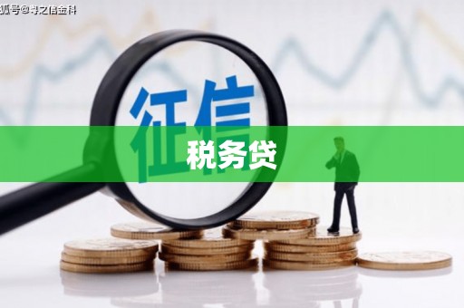 辛集税务贷