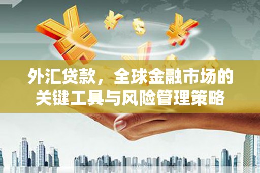 辛集外汇贷款，全球金融市场的关键工具与风险管理策略