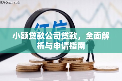 辛集小额贷款公司贷款，全面解析与申请指南