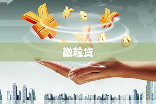 辛集微粒贷