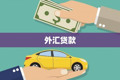 辛集外汇贷款