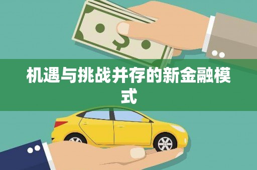 辛集机遇与挑战并存的新金融模式