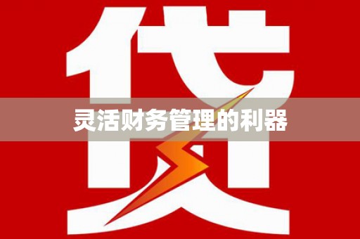 辛集灵活财务管理的利器