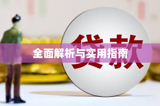 辛集全面解析与实用指南