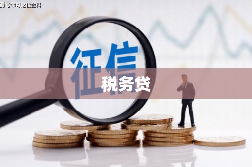 辛集税务贷