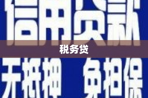 辛集税务贷