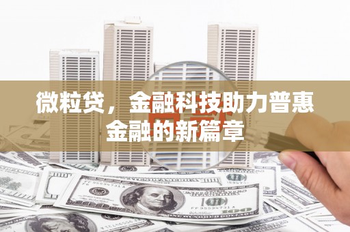 辛集微粒贷，金融科技助力普惠金融的新篇章
