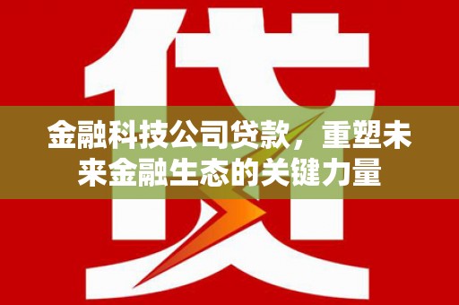 辛集金融科技公司贷款，重塑未来金融生态的关键力量