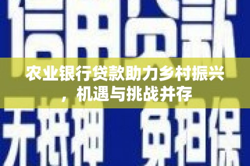 辛集农业银行贷款助力乡村振兴，机遇与挑战并存