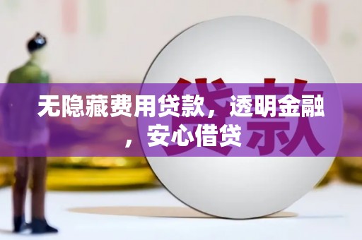 辛集无隐藏费用贷款，透明金融，安心借贷