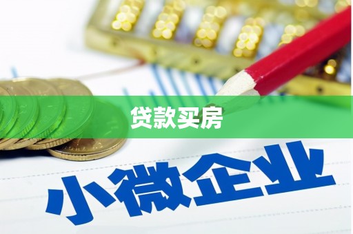 辛集贷款买房