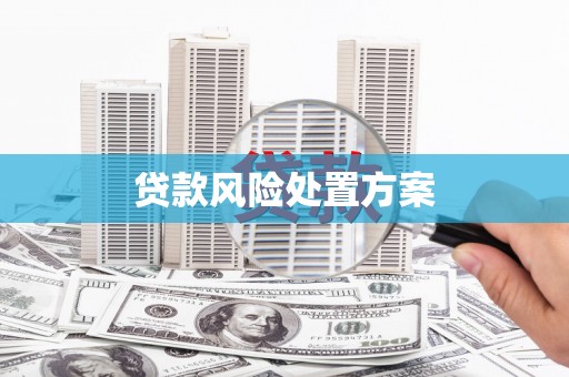 辛集贷款风险处置方案