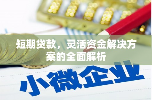 辛集短期贷款，灵活资金解决方案的全面解析