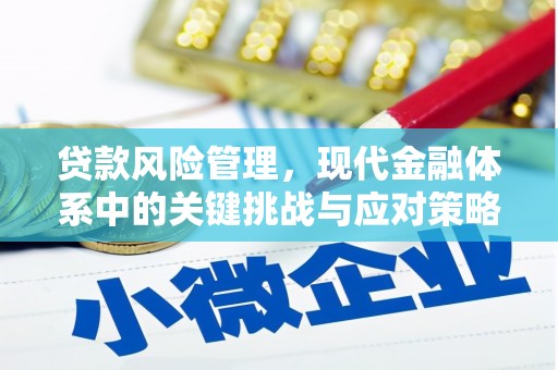 辛集贷款风险管理，现代金融体系中的关键挑战与应对策略
