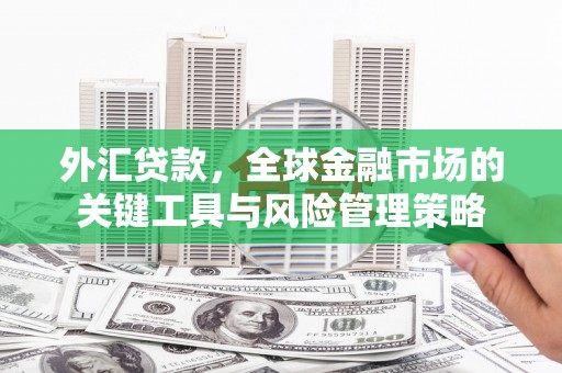 辛集外汇贷款，全球金融市场的关键工具与风险管理策略