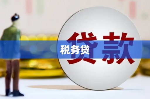 辛集税务贷