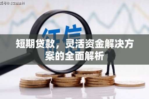 辛集短期贷款，灵活资金解决方案的全面解析