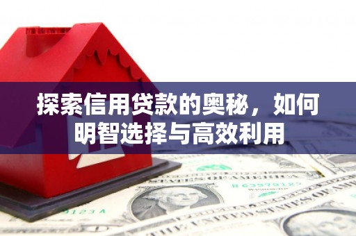 辛集探索信用贷款的奥秘，如何明智选择与高效利用