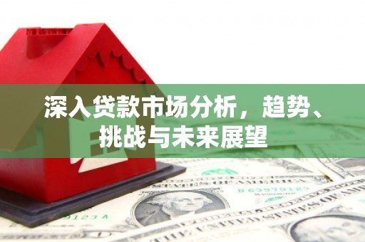 辛集深入贷款市场分析，趋势、挑战与未来展望