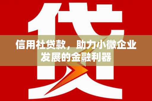 辛集信用社贷款，助力小微企业发展的金融利器