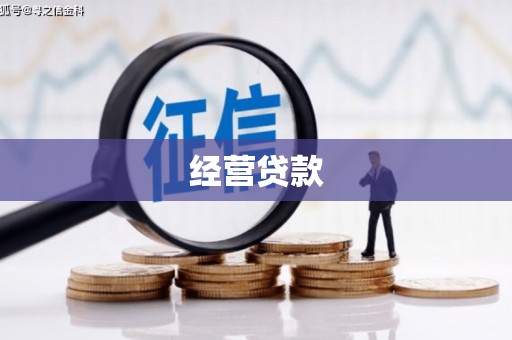 辛集经营贷款