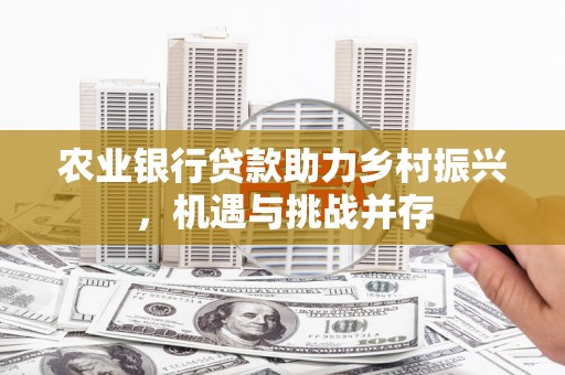 辛集农业银行贷款助力乡村振兴，机遇与挑战并存