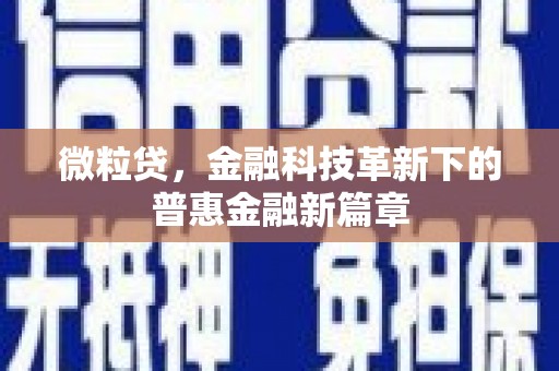 辛集微粒贷，金融科技革新下的普惠金融新篇章