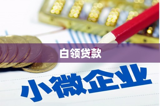 辛集白领贷款
