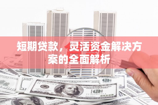 辛集短期贷款，灵活资金解决方案的全面解析