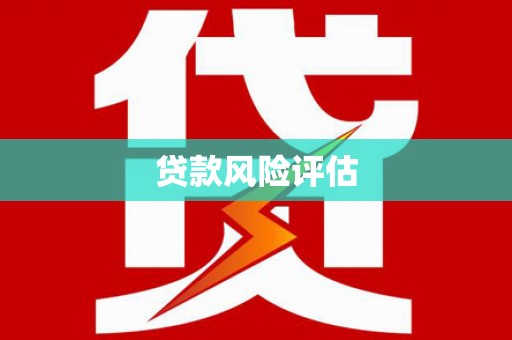辛集贷款风险评估