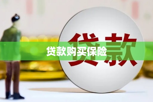 辛集贷款购买保险
