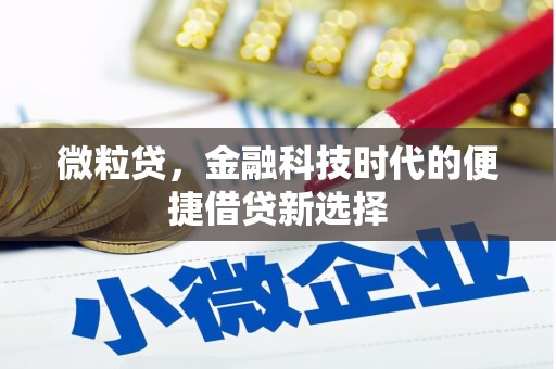 辛集微粒贷，金融科技时代的便捷借贷新选择