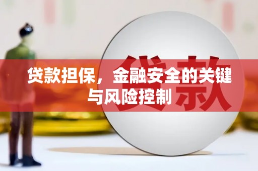 辛集贷款担保，金融安全的关键与风险控制