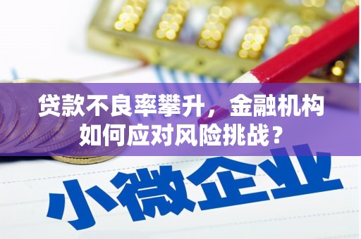 辛集贷款不良率攀升，金融机构如何应对风险挑战？