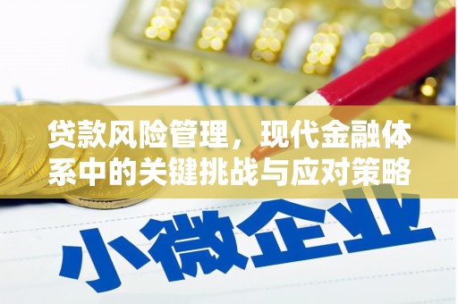 辛集贷款风险管理，现代金融体系中的关键挑战与应对策略
