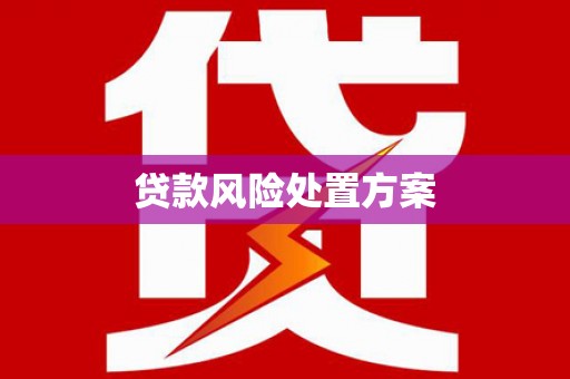 辛集贷款风险处置方案