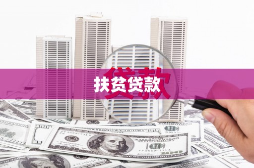 辛集扶贫贷款