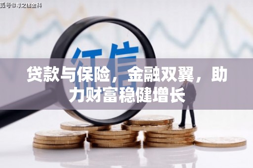 辛集贷款与保险，金融双翼，助力财富稳健增长