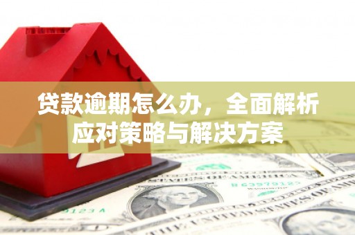 辛集贷款逾期怎么办，全面解析应对策略与解决方案