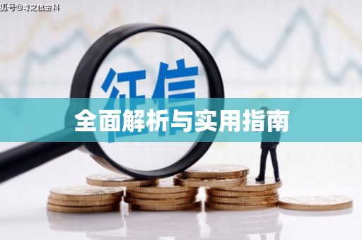 辛集全面解析与实用指南