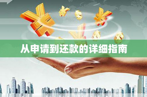 辛集从申请到还款的详细指南