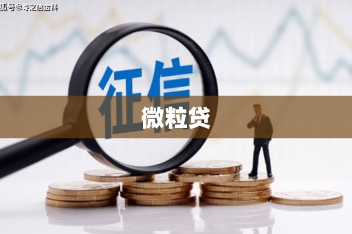 辛集微粒贷