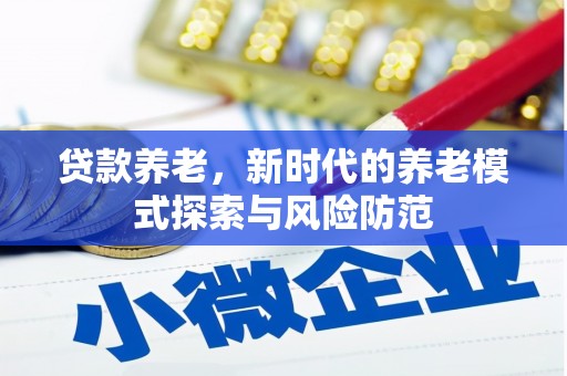 辛集贷款养老，新时代的养老模式探索与风险防范
