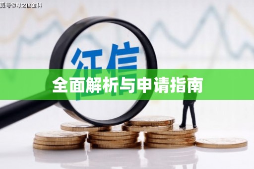 辛集全面解析与申请指南